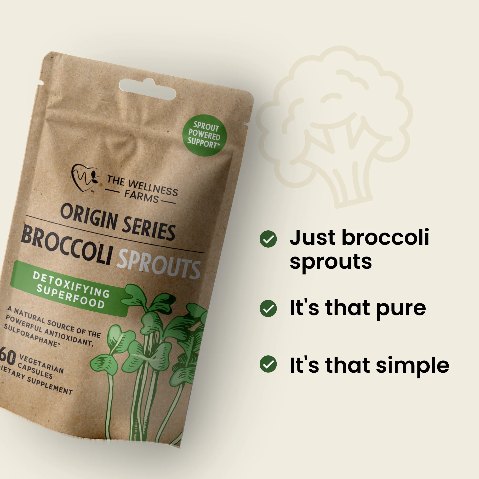Broccoli Sprouts - Image 3