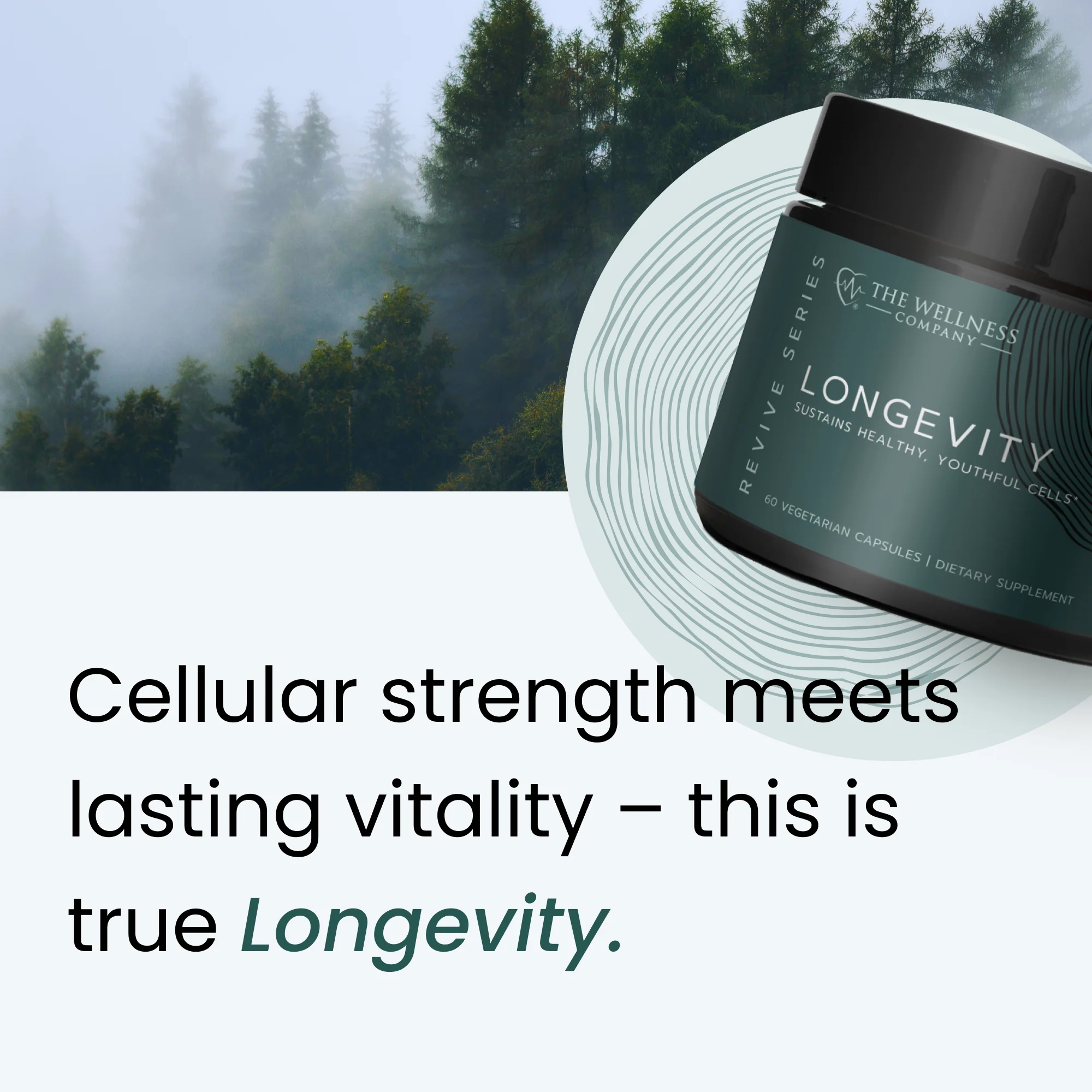 rtl Revive Series: Longevity 60 ct - Image 5